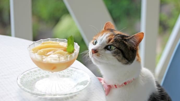 桃ゼリーと7月の花たち