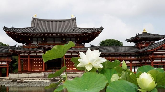 世界遺産宇治平等院と平等院蓮