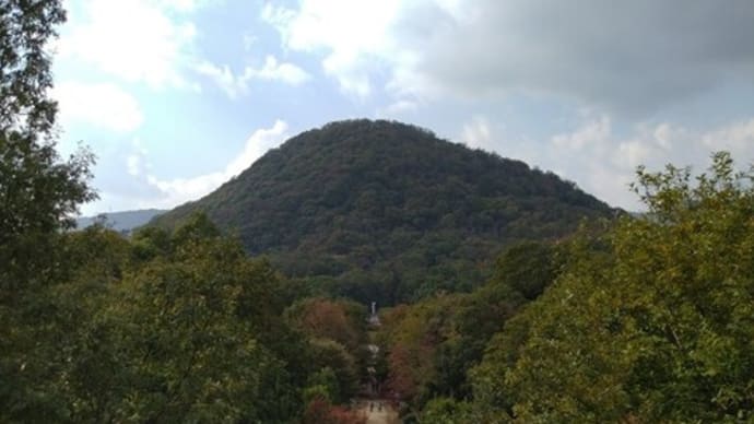 2024-08-21 Photo