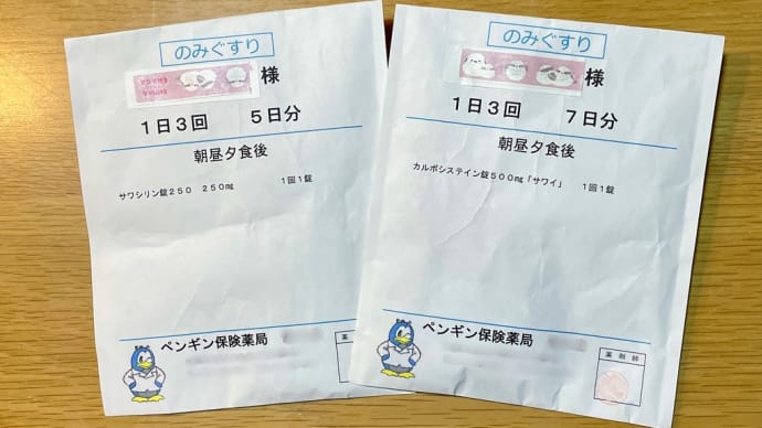 副鼻腔炎で身体がきついのがやっと楽になってきた❗️