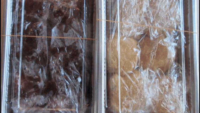 昨日の朝早くに、今年も義姉から作りたてで手作りの「おはぎ」が届けられて・・・