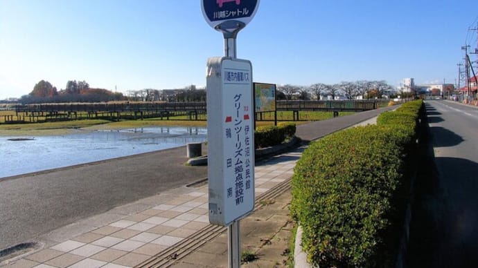 川越の景勝地 冬の伊佐沼