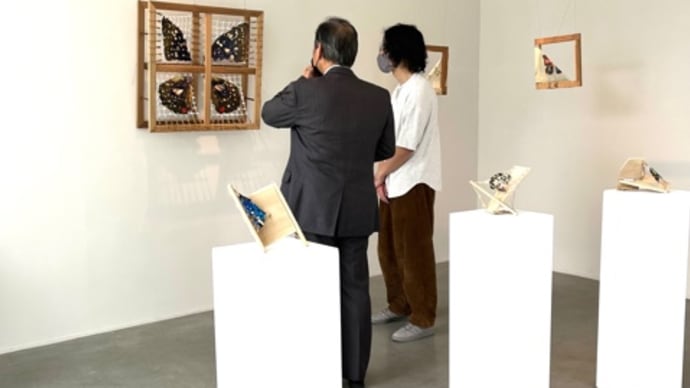 バタフライ効果とは・・展覧会開催中