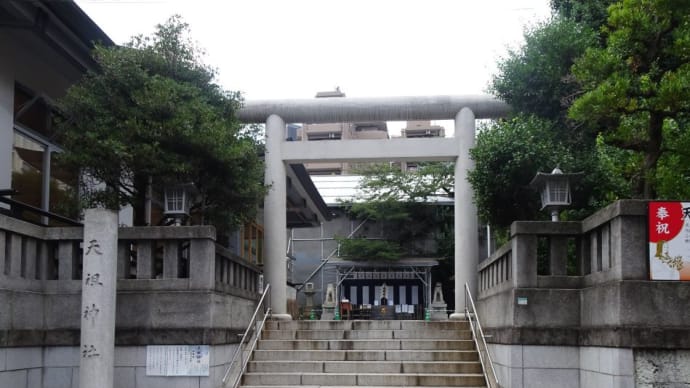 われわれ日本人の総氏神さまでもある天祖神社！只今屋根替大工事中で6年夏にが完了予定！