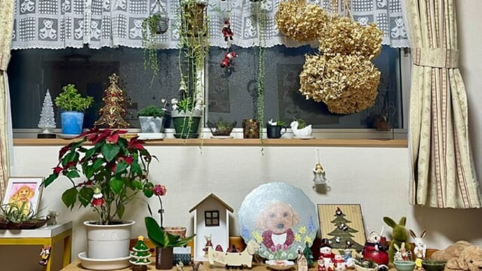 クリスマスイブ🎅🎄