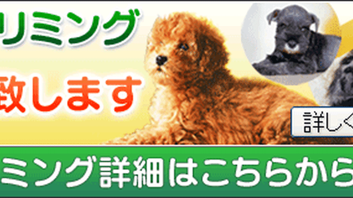 ペットショップ鈴花/犬猫トリミング≪送迎可≫