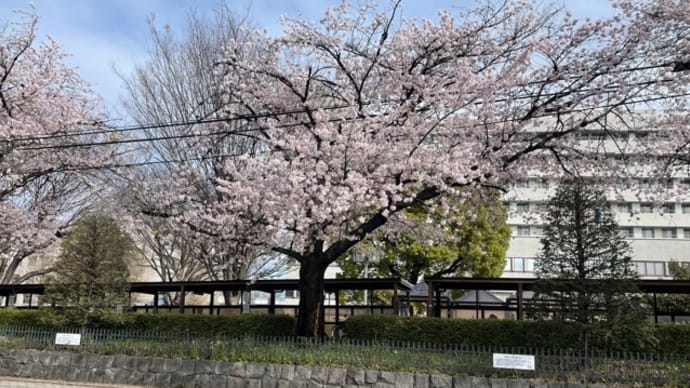 重粒子線治療後の定期検診・・(9年後)