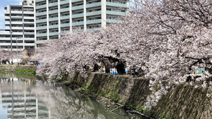 駆け足の花巡り