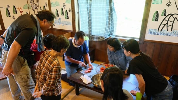 【無料公開用】自然菜園スクール『自然育苗タネ採りコース』8/18(日)育苗応用と自家採種① 講義:自家採種(ステップ1:固定種とF1の違い) 実習:アブラナ科と夏野菜の自家採種
