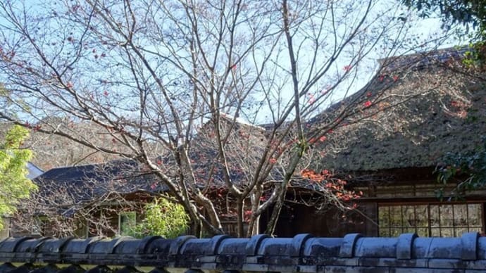 江川邸から韮山反射炉へ