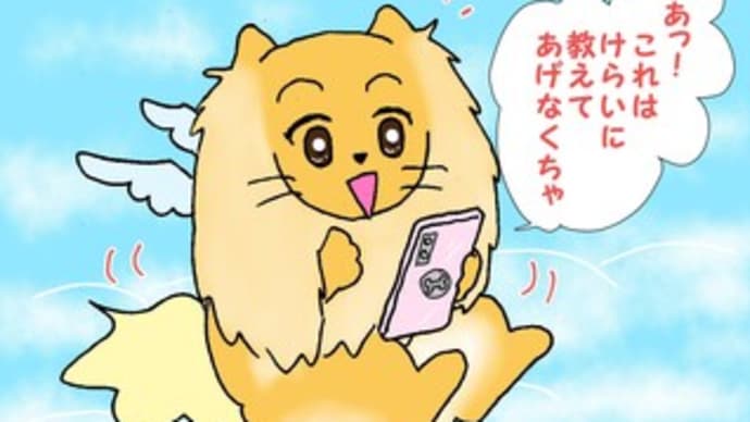 ポメ~!!