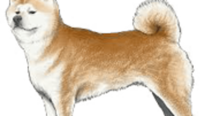 日本犬六犬種の特徴 について考える 団塊オヤジの短編小説goo