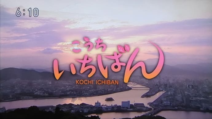 「これ見て!いちばん」放送0413~御衣黄