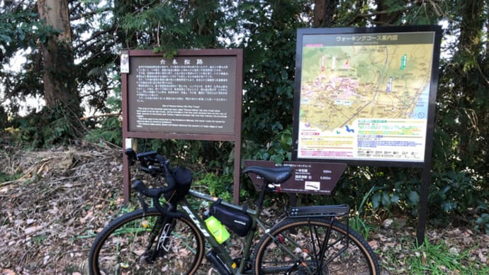 梅は咲いたか 曽我丘陵〜大井町の激坂サイクリング
