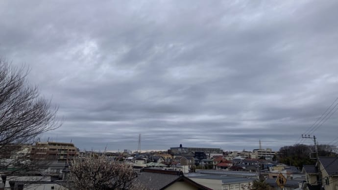 雨あがりの朝さんぽ。
