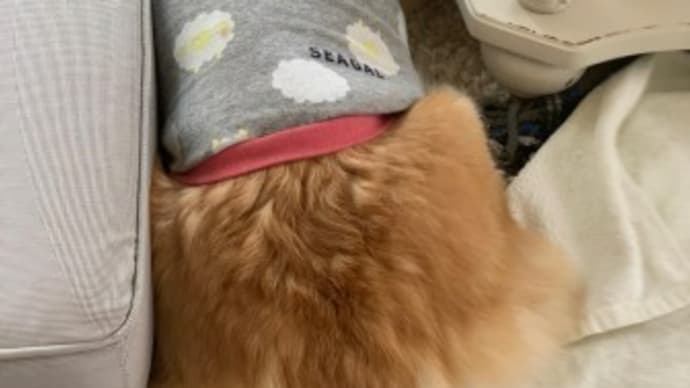 隙間が好き