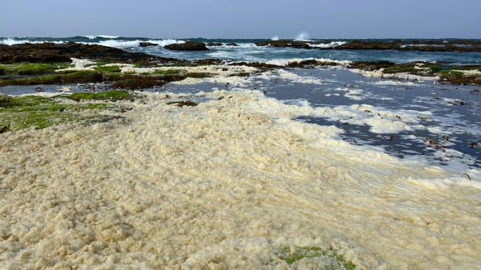 「津軽海峡沿岸・泡景色」
