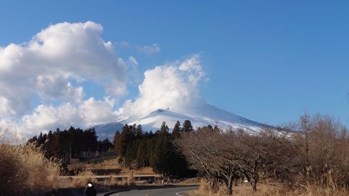 しやがれロケ散歩