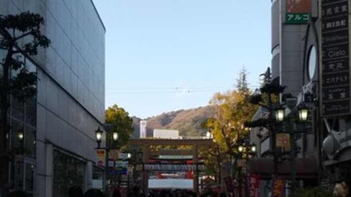 本日は生田神社へ。境内一方通行&露店が境内外に。境内飲食禁止。境内は混雑なし。かまぼこ発祥の地の碑がある生田の森へも。QRおみくじは7番中吉。