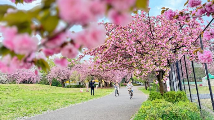 3週連続で石神井公園とおそば、懐かしい感じのお菓子屋さんもみっけ!