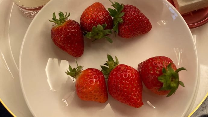ザ・ストロベリーフィールズ🍓