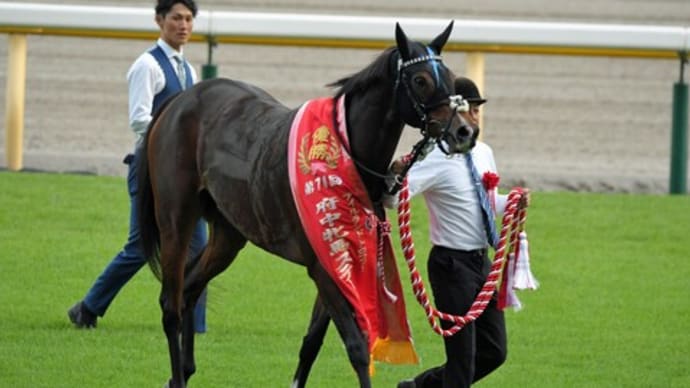 23府中牝馬Sの写真