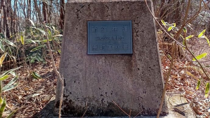 【相馬市坂下新宿林道】40年ぶりの道を走る