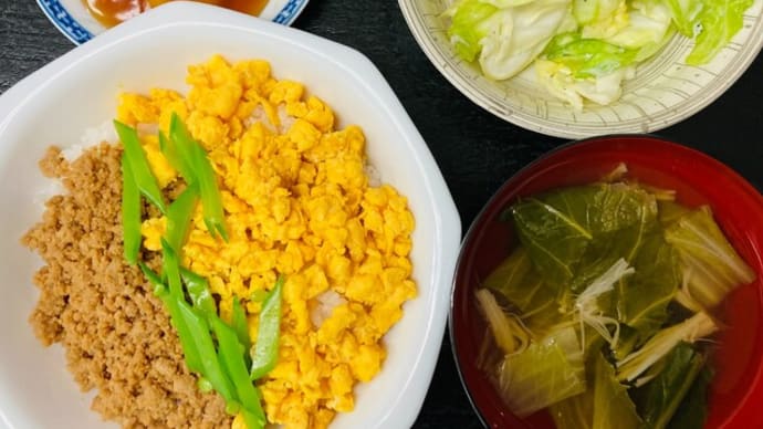 4/1(土) 三食丼 他(名古屋学芸大学Canteen)