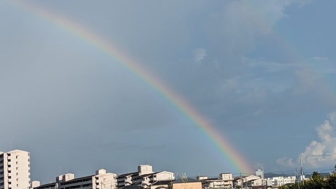 虹の7色