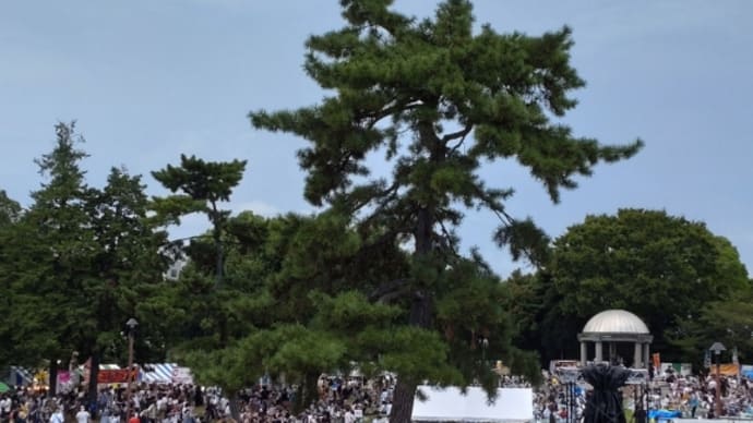 今日は地元のお祭りだったんだ