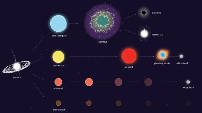 若い星団の巨大な白色矮星