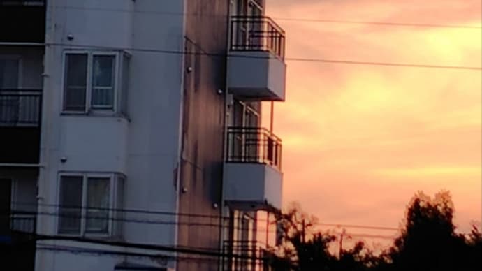 バタンキューだあ
