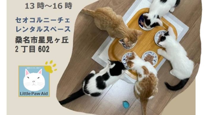 譲渡会にひさびさ