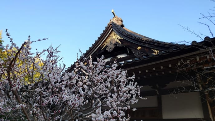 3月11日(月)鎮魂の寺社めぐり