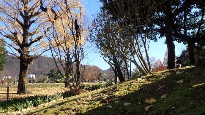 長良公園