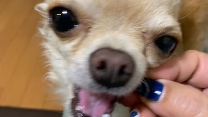 美味しいお顔をたっぷりと('◇')ゞ