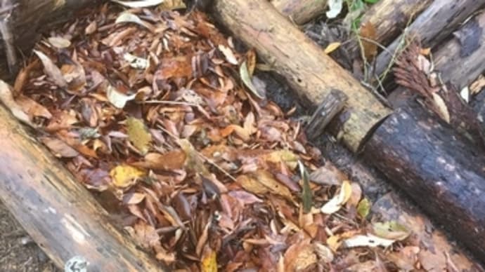 落ち葉堆肥の仕込みとイルミネーション