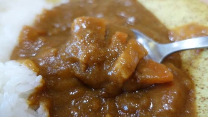 となりのカレー屋さん カレーライス410円 新潟県上越市大日31 だいにちスロ-ライフビレッジ