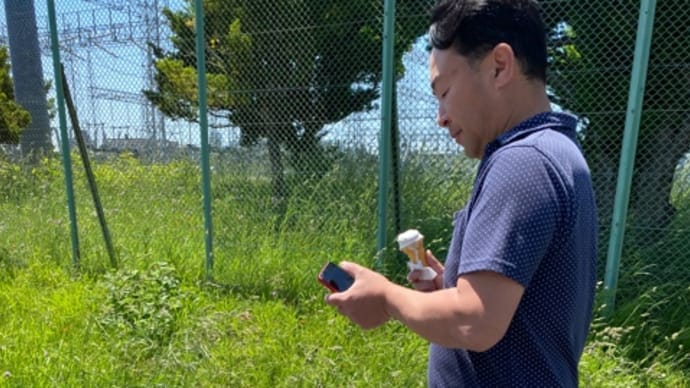 TCWの散歩🎵 トータルカーズワークスブログ