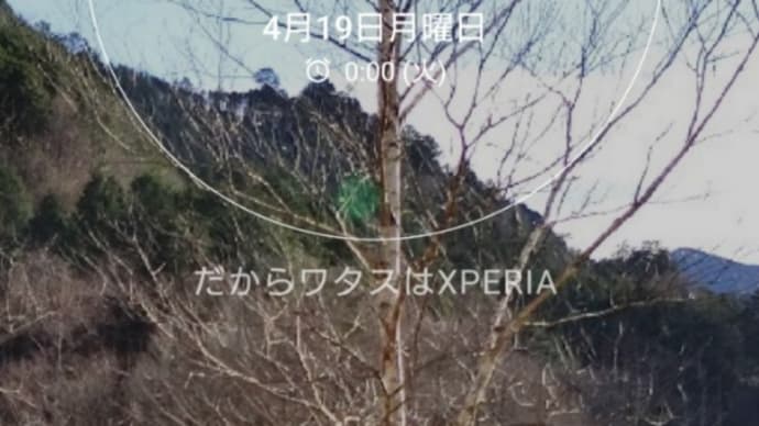 だから、