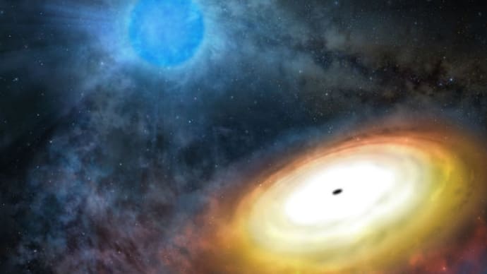 発見された予測不可能な恒星ブラックホール
