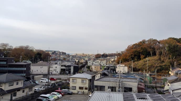 12月13日 今日は冬日になりました。