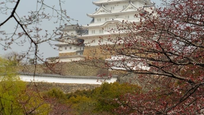 姫路城と桜 2016