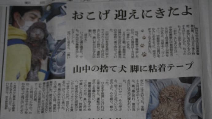 おこげちゃんの運命