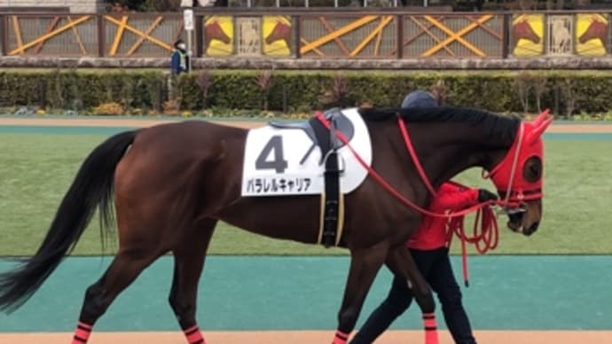 パラレルキャリア、完璧なレースでの連続2着!!