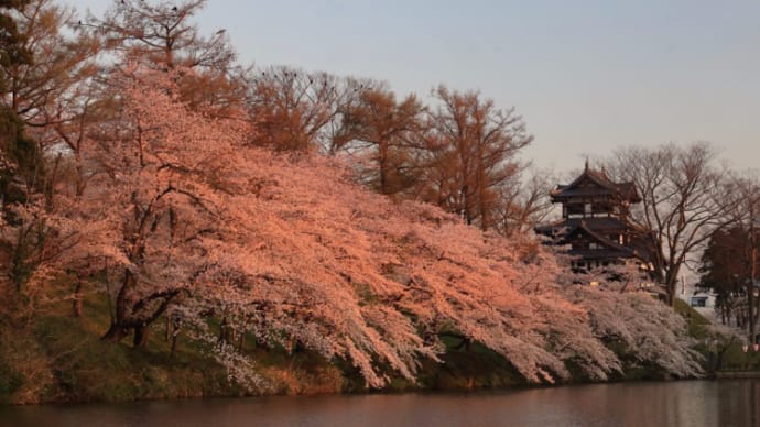 高田城址公園に寄り道