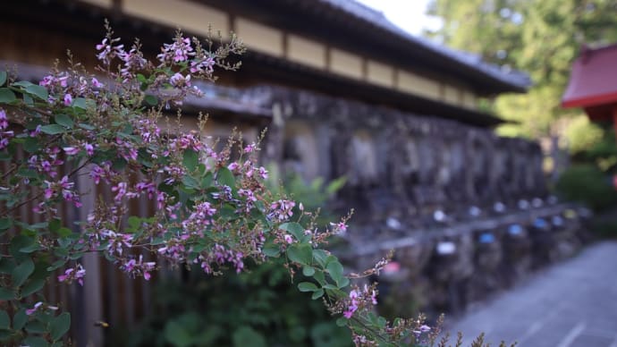 観自在寺