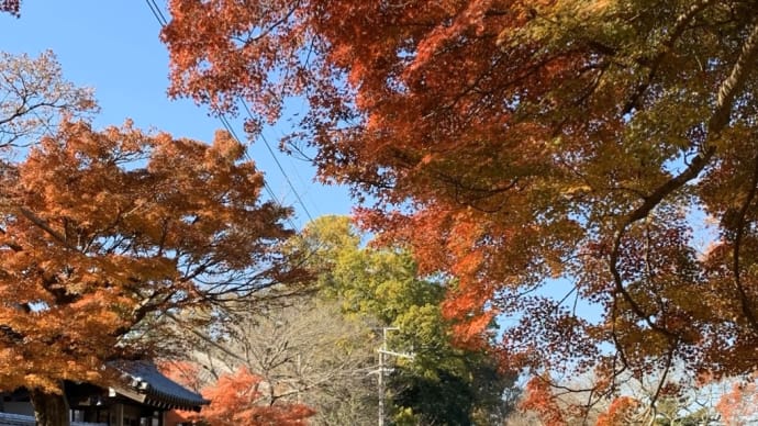 家族旅行 IN 京都 奈良 続き😱😱😱