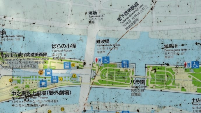 中之島バラ園 バラ園(西)のバラ 2020 10/12 10/20