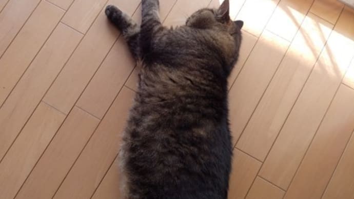 その距離